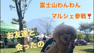 富士山わんわんマルシェ参戦する❣️