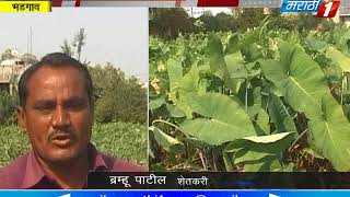 Crippled farmer bhadgaon  jalgaon