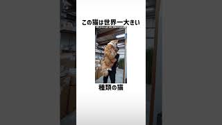 動物雑学クイズ左右どっち？part311【琴葉茜/琴葉葵】#shorts