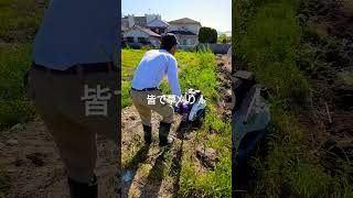 5.5大和高田市＃農業#米＃草刈り#shortvideo #s#shorts