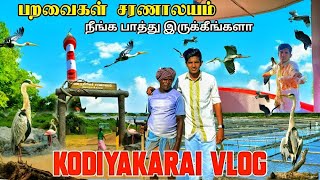 கோடியக்கரையில் ஒருநாள் ❤️|Kodiyakarai vlog|#kodiyakarai#viral #wildlife #birdslover