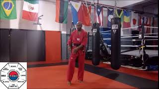 Hybrid Taekwondo Drills and Workout - Mon Apr 6, 2020