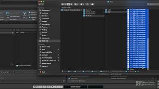 26 Batch Processing Wavelab