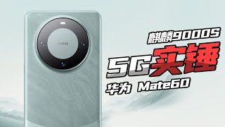 5G实锤！华为Mate60 Pro先锋版抢先体验