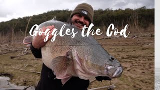 Lake Eildon Monster Murray Cod aka Goggles the Cod!