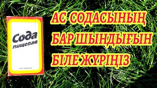 1 АС ҚАСЫҚ сода Ауруды түбімен жоюға көмектеседі#сода#ассодасы#ағзанытазалау