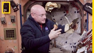 Un repas dans la Station spatiale internationale