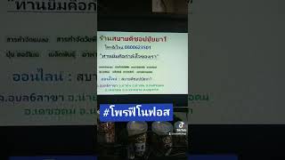 #โพรฟีโนฟอส