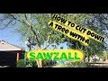 How to cut down a tree and stump with a reciprocating saw or sawzall