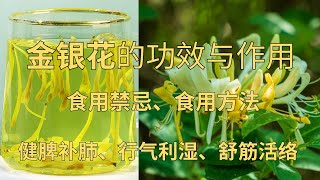 金银花的功效与作用，金银花的食用禁忌，金银花的食用方法#金银花 #草药