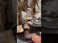 dog meat street food p142 food specialfood