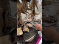 dog meat street food p142 food specialfood