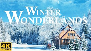 Winter Wonderlands ❄️ 4k Video Of Beautiful Winter Scenery With Beautiful Piano Music Winter Scenery