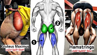 5 Best Exercises Glute and Hamstring workout