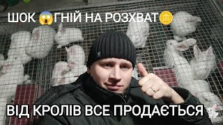 КРОЛІ ОКУПАЮТЬСЯ НА 200%? ПРОДАВ ГНІЙ ЗИМОЮ ДОРОГО? КРОЛІ НЕ ВСТИГАЮТЬ РОСТИ