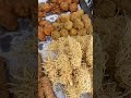 Intha food neenga saptrukengala makaley 👍😋😋 #shorts #akilakannanvlogs #iftarsnack #streetfood