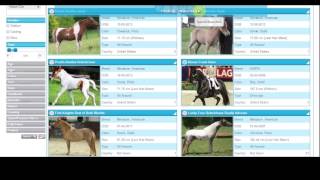 Horsecount - Horseboard