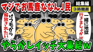 【2ch面白いスレ】【総集編㊼】マジでおバカななんJ民さんが大集合してみたンゴｗやらかしイッチ大集合ｗ【ゆっくり解説】【作業用】※過去のマヌケなイッチを集めました