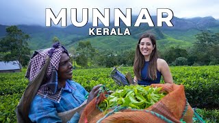 Munnar, Suryanelli Kerala in the Monsoon! The best vlog I've ever made | #Weeken