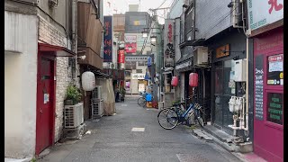 【4K】Tokyo Nakano Shin-Nakamise Shopping District. 東京 中野新仲見世商店街