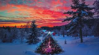 Snow Winter Relaxation Film l Meditation Relaxing Music l Winter Nature