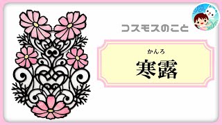 【17】二十四節気「寒露」とは？コスモスのこと～日本の季節と暦を学ぶ