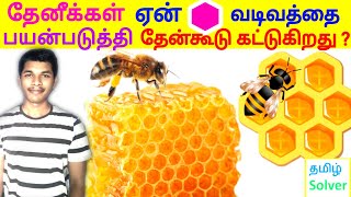 தேனீக்கள் தேன்கூட்டை எப்படி கட்டுகிறது ? Why honeycombs are Hexagonal Shaped ?TAMIL SOLVER