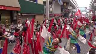 備後ばらバラよさこい踊り隊(びんばら) 12日 本家高知よさこい2014 全国大会 mususukunjp