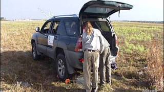 Burrowing Owl Translocation