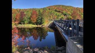 9-26-20 - Notes from Cape Breton: Along the Margaree River