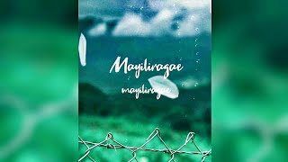 Mayilirage ...💕 Cover song lyrical Whatsapp status | Vikash Editz