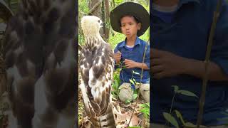 The closeness between a young man and an eagle Part 04. #wildlife #eagleowl #cute #nature #birds