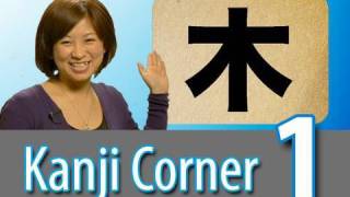 Learn Japanese Kanji - Could Kanji really be this easy??