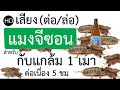 សំឡេងក្មុល ទាក់បាន 100%