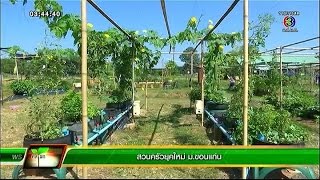 คลินิกเกษตร | สวนครัวยุคใหม่ ม.ขอนแก่น | 08-12-57