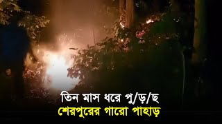 তিন মাস ধরে পু/ড়/ছে শেরপুরের গারো পাহাড়  II Desh Bartaman