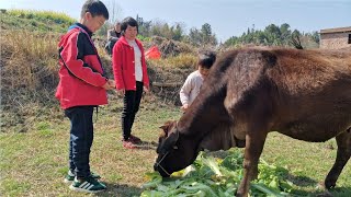 韶关客家话，不看字幕听懂算你牛，网友：一点也不正宗