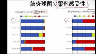 肺炎球菌、PRSP、ムコイド型、血清型（莢膜型）