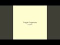 Fragile Fragments