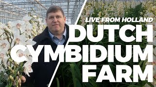 JFTV: Live from Holland - Dutch Cymbidium Farm with Mike