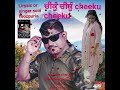 punjabi song cheeku cheeku Lyrics                          singer soni firozpuria