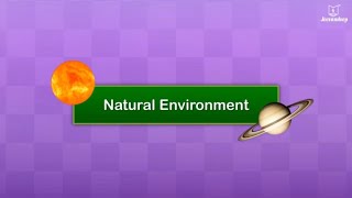 Natural Environment | Science Grade 1 | Periwinkle