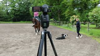 Horse riding  -  Dressage   -  Filmed with PIXEM2 at Pamfou Dressage