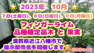 【フィンガーライム】第2回 こるふぁーむ主催 フィンガーライム展示即売会～カワシマ種苗様