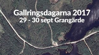 Skogsforum Thinning Days 2017