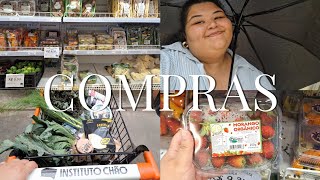 Minhas compras de hortifruti e mantimentos