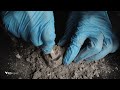 asmr dinosaur fossil excavation 공룡 화석 발굴하기 ⛏ 소리가 잡음 없이 진짜 선명하게 들린다...