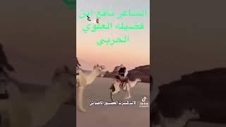 الشاعر الفارس نافع ابن فضيله العلوي الحربي