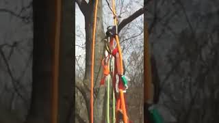 Treeclimbing for Fun: A Device that is used to Help Climbers Easily Grab Rope #petzl