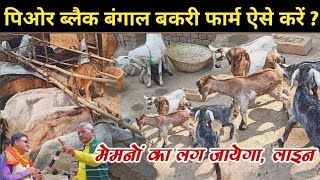 ( @Lokausar  ) ब्लैक बंगाल बकरी के फार्म कैसे करें। Black Bangal bakri Ke farm kaise karen